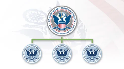 Organizational chart with CBP flag background