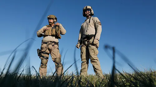 AMO agents in the field 