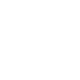 Trusted Traveler Programs. A white hexagonal shield icon with a checkmark inside.